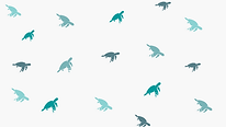 Home.png