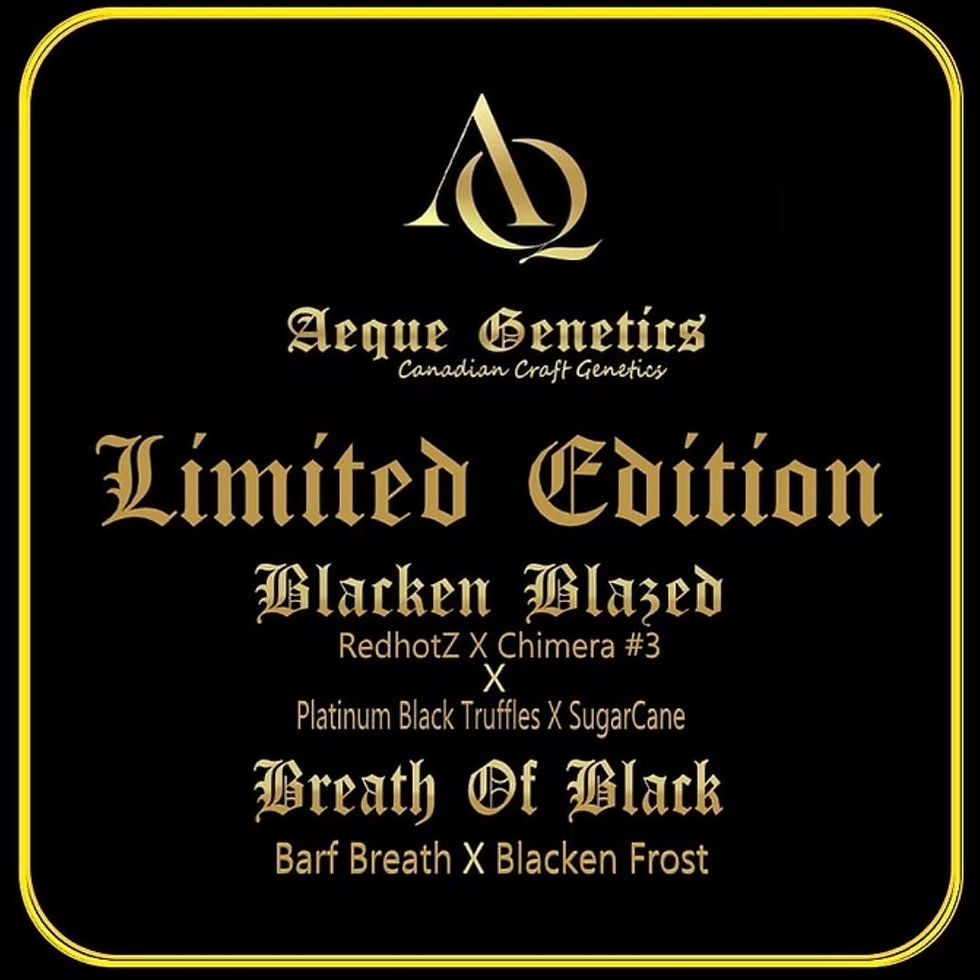 Untitled design (35).jpg