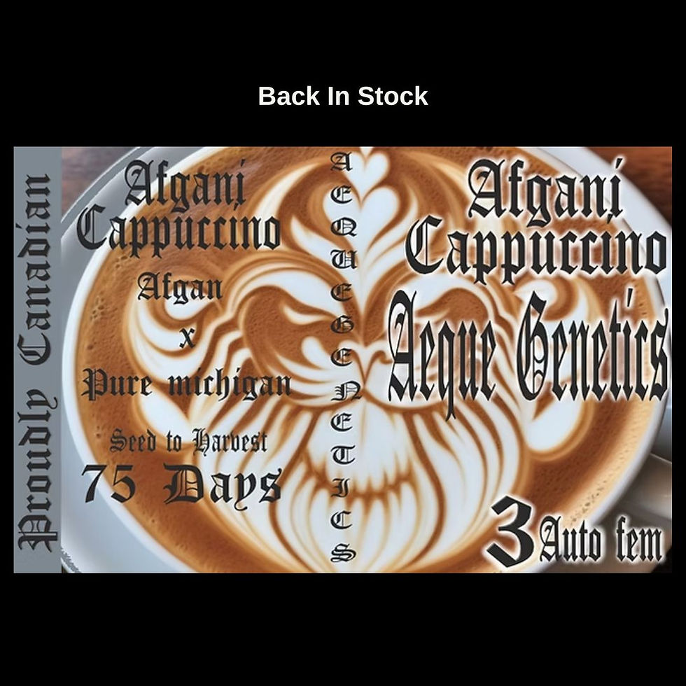 Back In Stock Banners.jpg