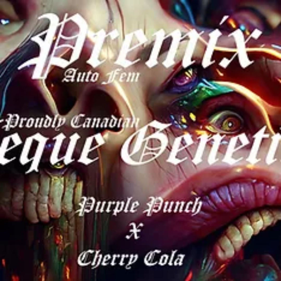 Premix 3pk (A)