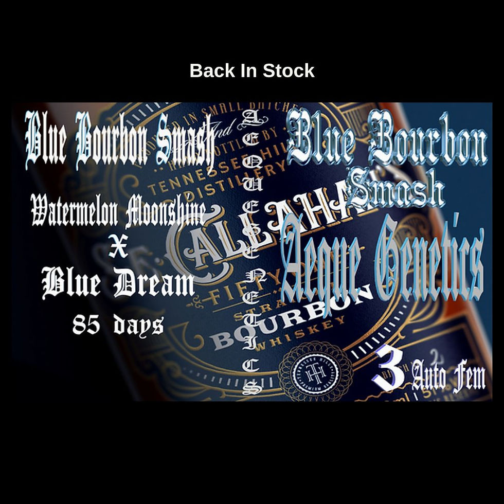 Back In Stock Banners (2).jpg