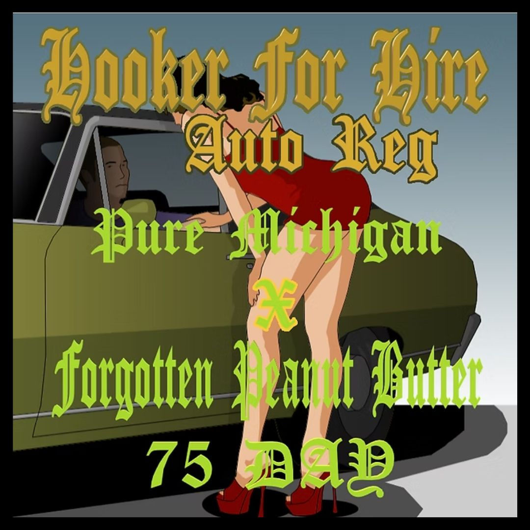 Hooker For Hire 10+pk (Auto Reg)