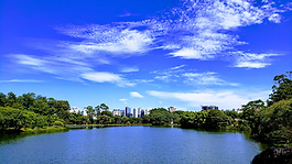 Parque Ibirapuera: Um Oásis Urbano em São Paulo