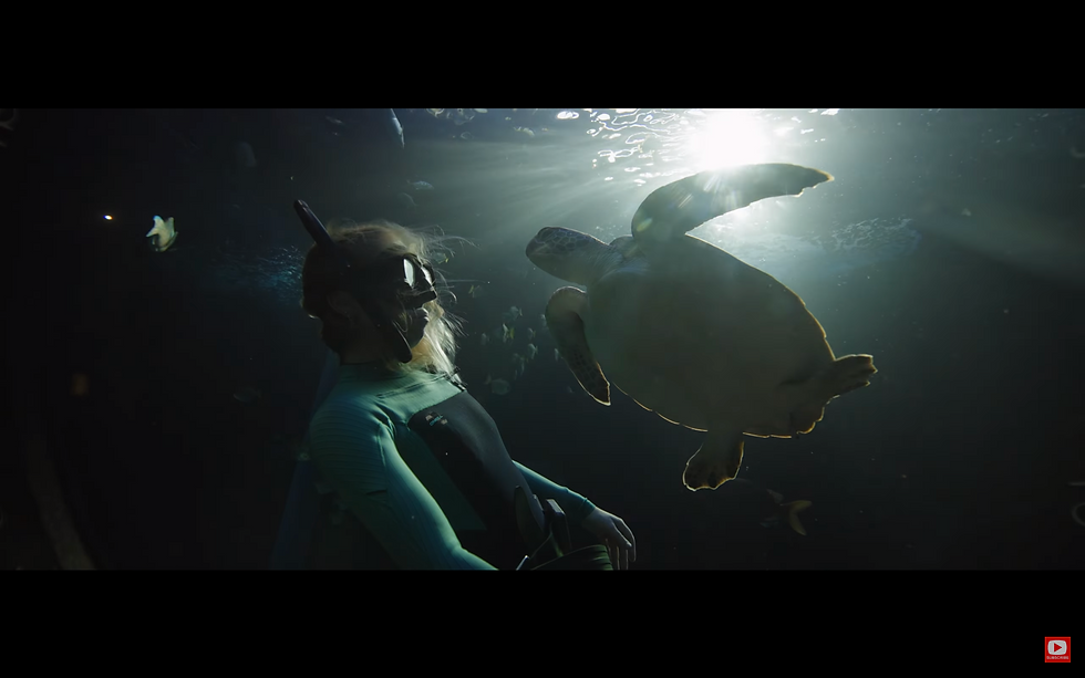 Saving Our Sea Turtles