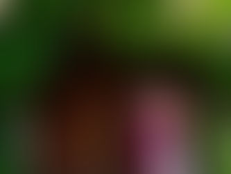 Katka & David: Svatební focení, zámek Nové Hrady