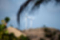 MAR_2166.jpg