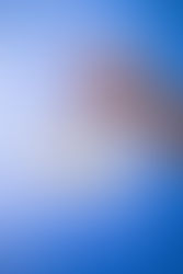 A strong social media presence is needed for local businesses: an assessment on Ithaca's businesses