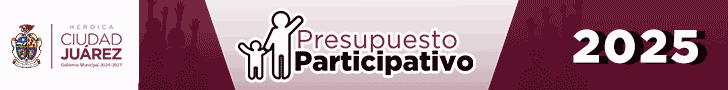 presupuesto participa.gif