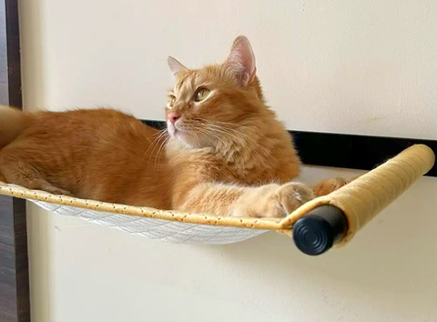 Simba is obsessed with his new perch. It looks very aesthetic. Installation was pretty simple too. All in all great buy.
-Swati R