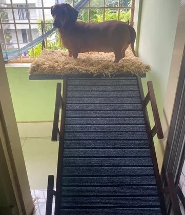 Coco loves her new ramp. Thank you for the freebies too.
-Nishi Dang