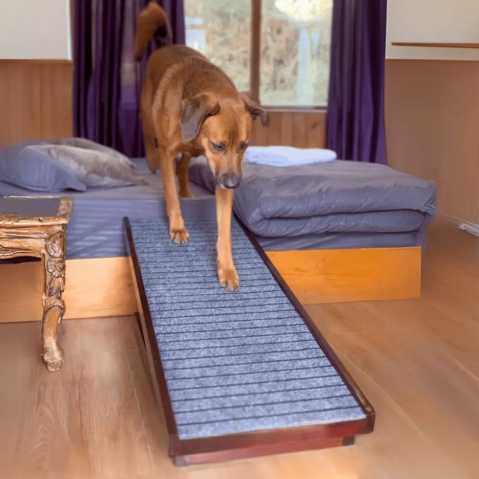 Pet ramp with anti skid fabric in dark brown finish