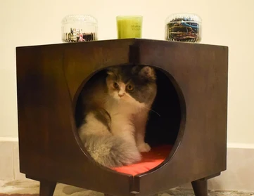 Stylish furniture, well thought out design and a very unique offering. The materials used are premium. It definitely adds a spark to our home décor. Speaking for my cats, I get a sense that they enjoyed it more than me. They got a lot of cozy naptime!
-Bharat W.