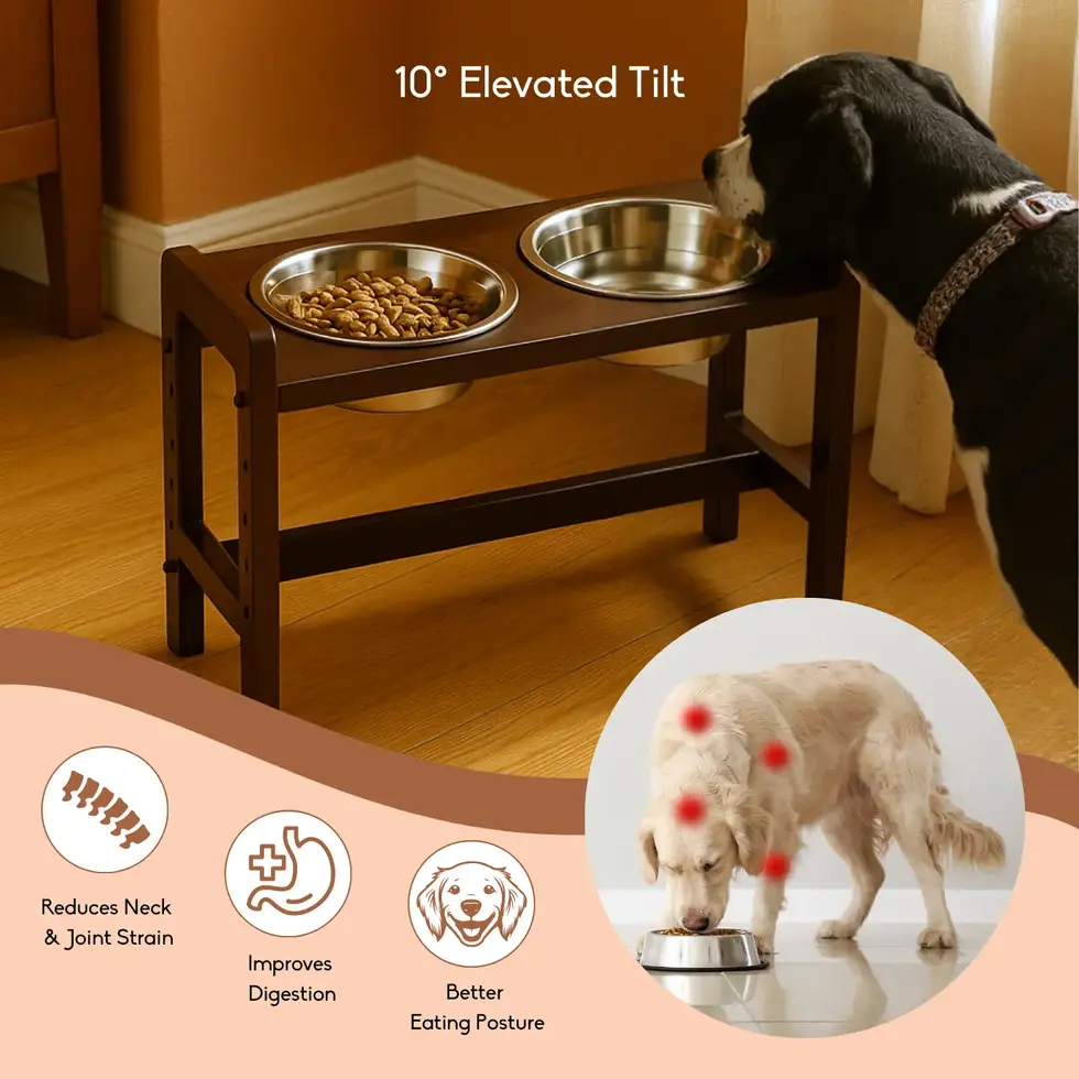 Pet Feeder linea for dogs and cats with bowl adjustable height and angle elevated diners