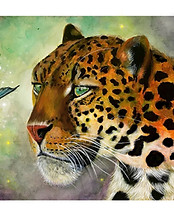 Untitled-Artwork (61).jpg