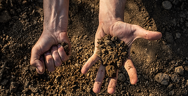Absetzcontainer für unbehandeltes Altholz, Altholz A2 und A3, Bauschutt mit unter 10 % Feinanteil, Bauschutt mit über 10 % Feinanteil, Boden-Bauschutt-Gemisch, Erdaushub und Mutterboden, Flachglas, gemischte Bau- und Abbruchabfälle, gemischten Gewerbeabfall, Grasnarbe und Oberboden, Grünabfall, Pferdemist, Sperrmüll und Wurzelstöcke; Bilder zeigen Absetzcontainer mit unbehandeltem Altholz, Absetzcontainer mit Altholz A2/A3 sowie Absetzcontainer mit Boden-Bauschutt-Gemisch. Altenkirchen, Wissen, Hachenburg, Wirges, Ransbach-Baumbach, Mammelzen, Weyerbusch, Flammersfeld, Uckerath, Eitorf, Windeck, Waldbröl, Koblenz
