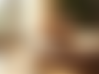 Essential Tips for New Cat Owners