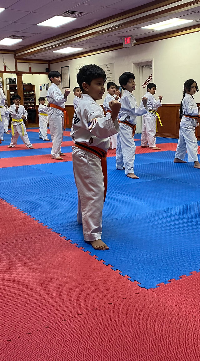 Corso di Tae Kwon Do – Pil-Won Park - Libri e Riviste In vendita a Forlì-Cesena Corso di Tae Kwon Do – Pil-Won Park - Libri e Riviste In vendita a Forlì-Cesena