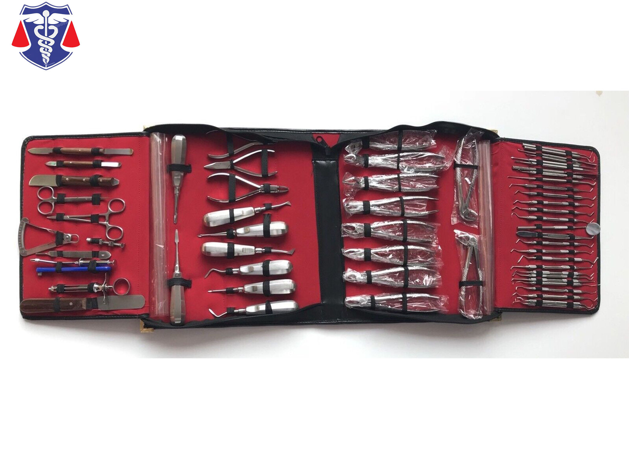 ORAL DENTAL SURGICAL EXTRACTION SURGERY ELEVATORS FORCEPS KIT SET OF 61 PCS