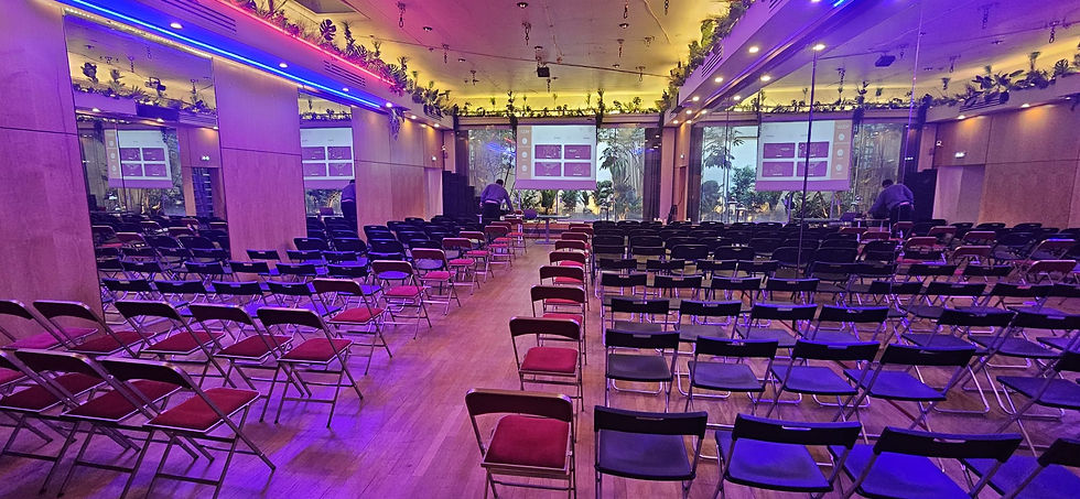 aerial16-2-conference-ecrans.jpg