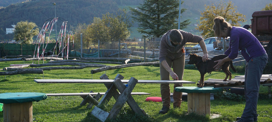 Degility-Parcours | Hundeschule | DogsforDogs