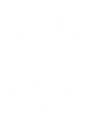 Croqui VITA branca.png