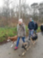 4_PACKWALK 15 12 19c