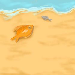 Dead fish wash ashore from the xpress pearl ship disaster