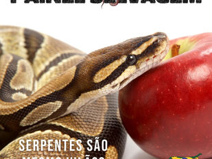 Serpentes são mesmo vilãs?