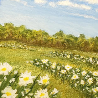 Sheryl Brower Art