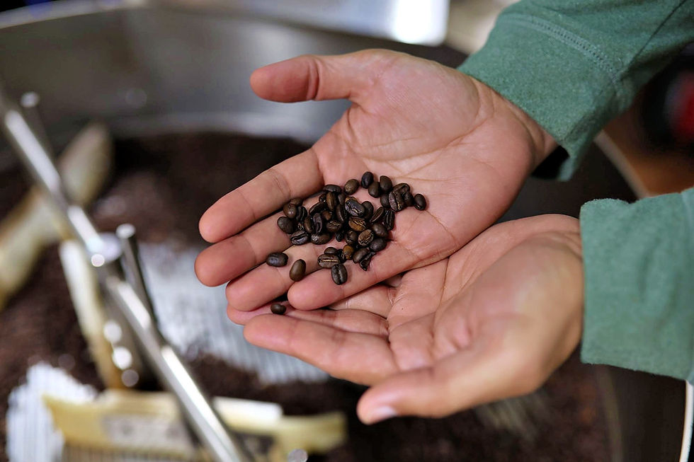 Coffee hands.JPG
