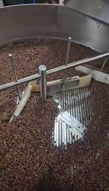 Beans in Sorter 2.mp4