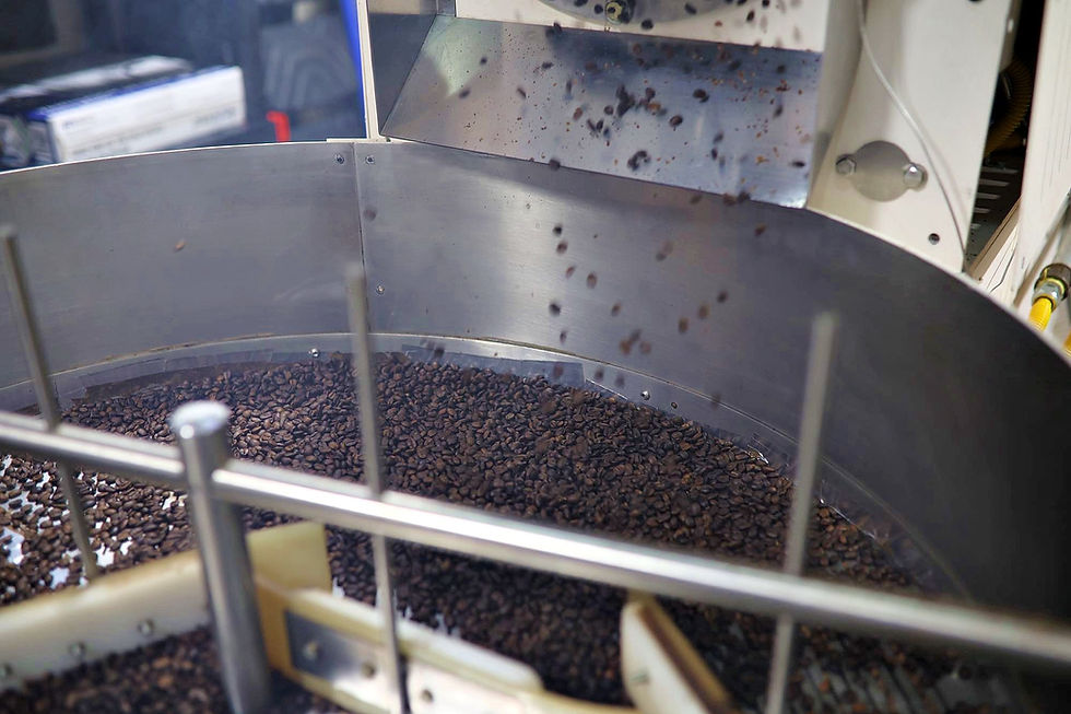 Beans cooling.JPG