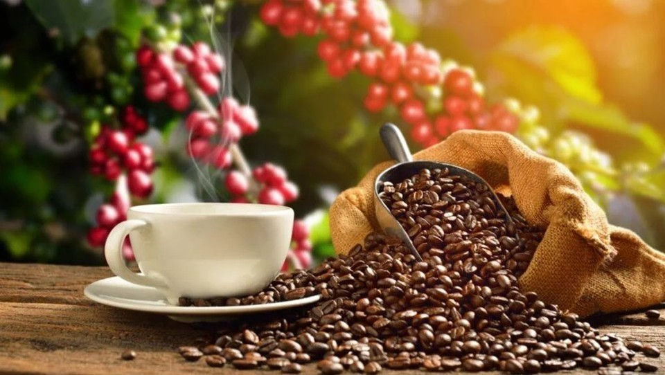 Beautiful Coffee Beans 2.jpg