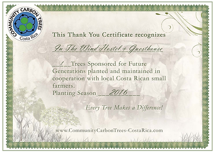 Tree Sponsor Certificate