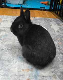 Screenshot_20250305_211126_Business Suite