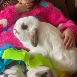 Screenshot_20250304_234149_Messages