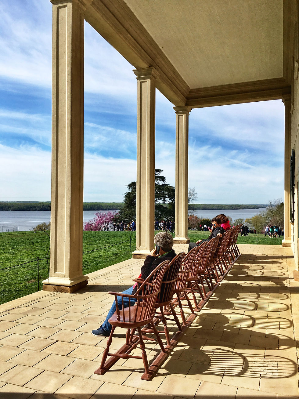 Thumbnail: TD's Mount Vernon