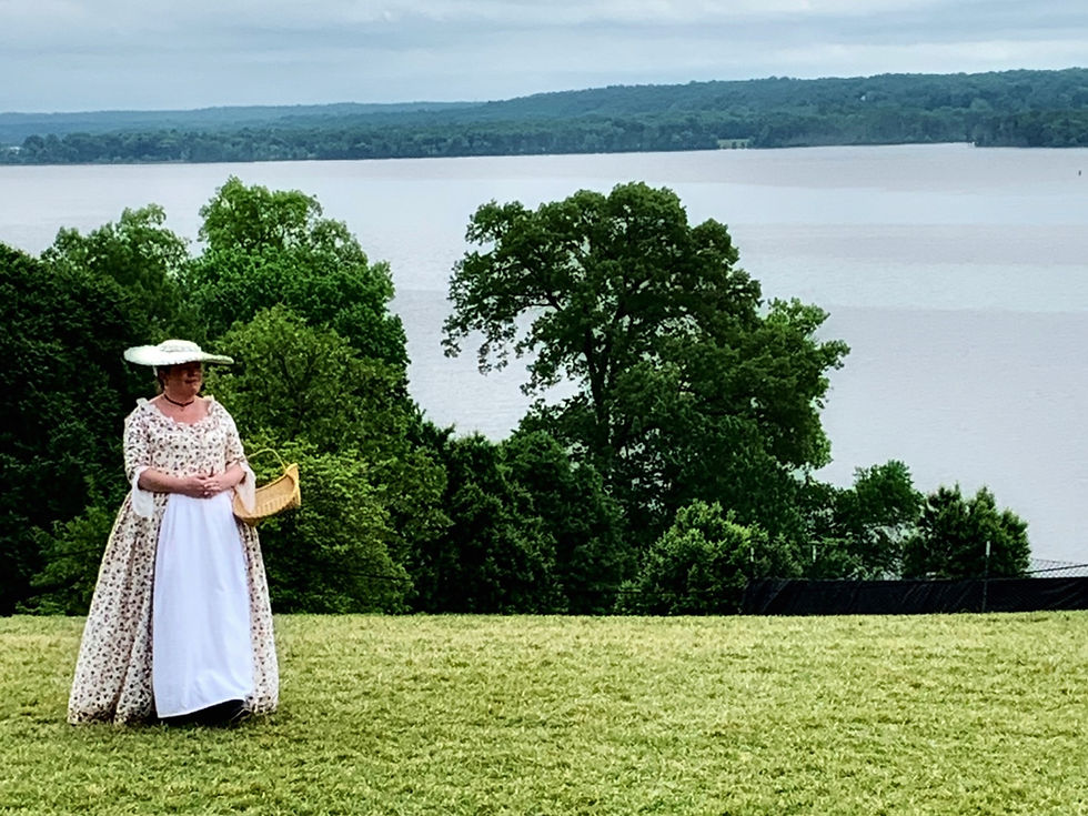 Thumbnail: TD's Mount Vernon
