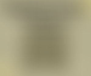 Solicitation Permit Issued