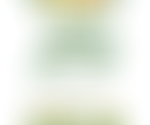 Love your Parks?  Us too!