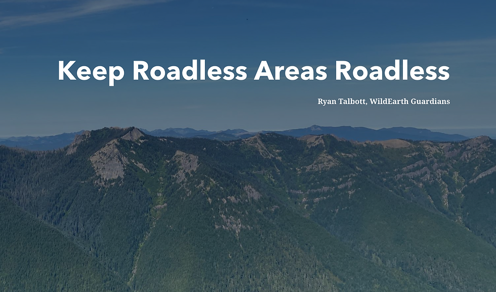 Screenshot 2025-11-19 at 1.46.41 PM.png