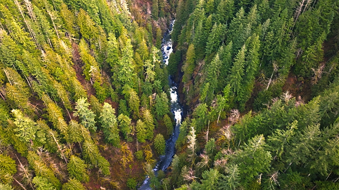 Screenshot 2025-10-28 at 11.38.51 AM.png