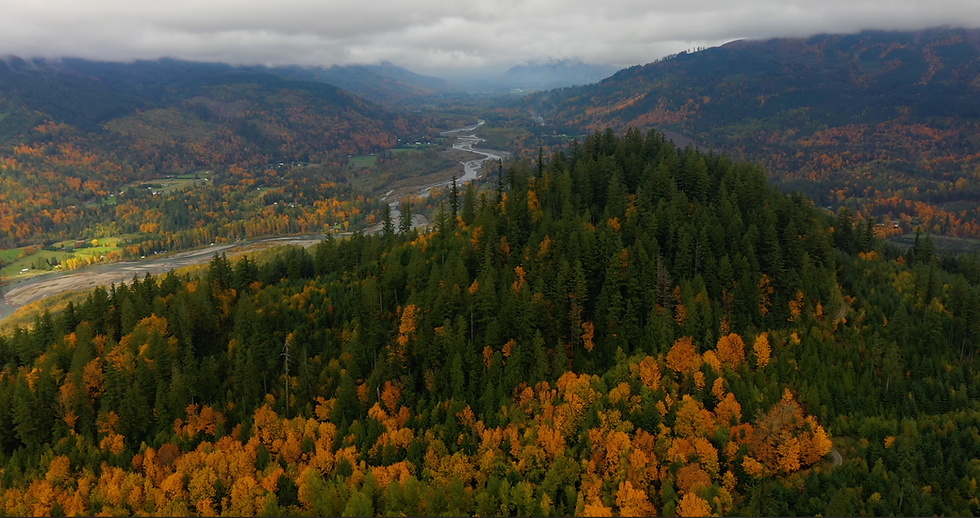 Screenshot 2023-11-13 at 5.59.13 PM (2).png