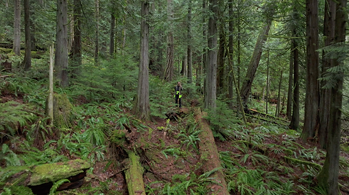 Screenshot 2025-07-10 at 1.20.07 PM.png