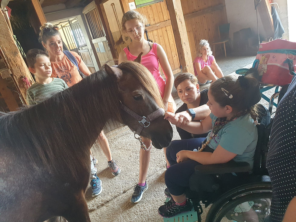 Pferde reiten & Pfauensafari am Ponyhof