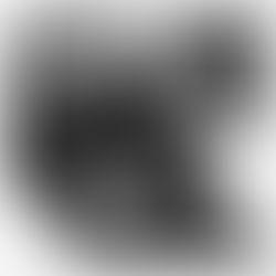 Bonnie ‘s Behind the Scenes Shoot ….