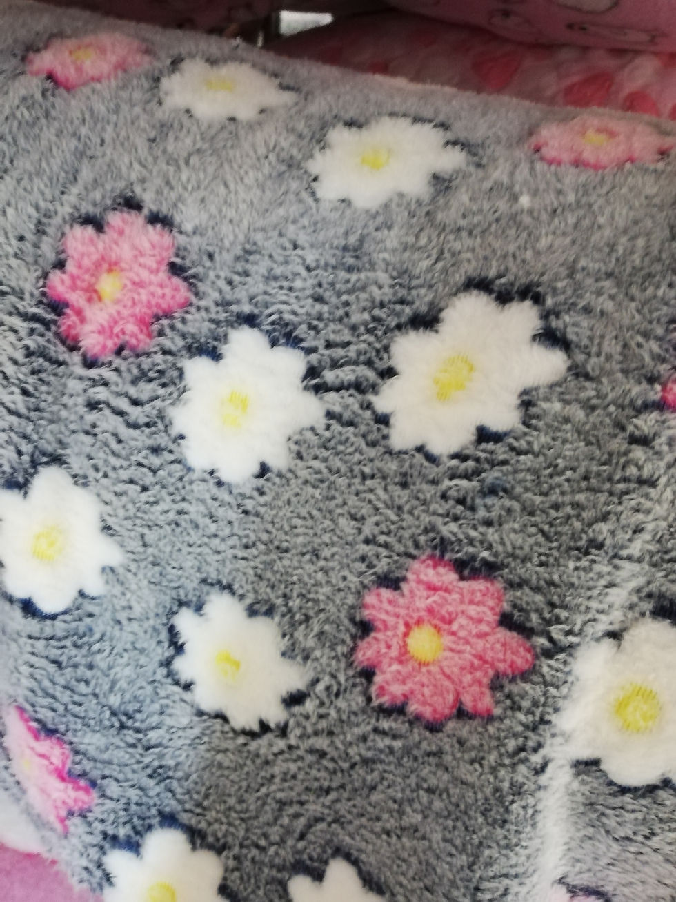 Thumbnail: Large Blanket