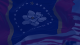 FOR SENATE - DISTRICT 44-7.png