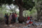 The pregnant tree.
