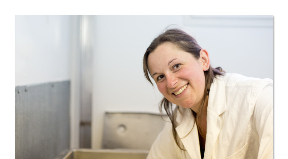 05-Bergonnes_2014 - Copie.jpg